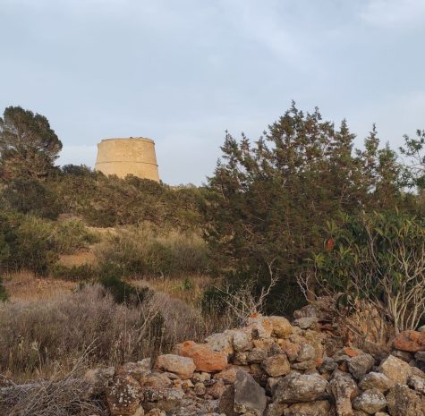 ALREDEDOR CASA COLONA (2)