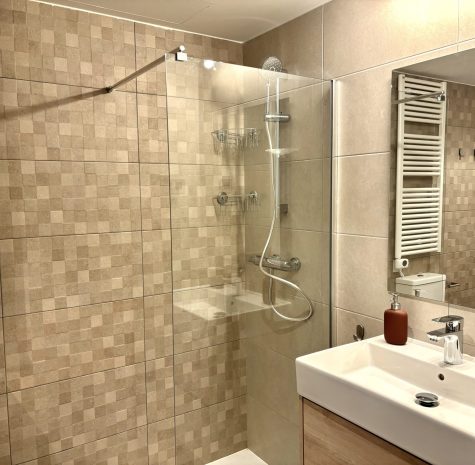 BAÑO BADALONA (4)