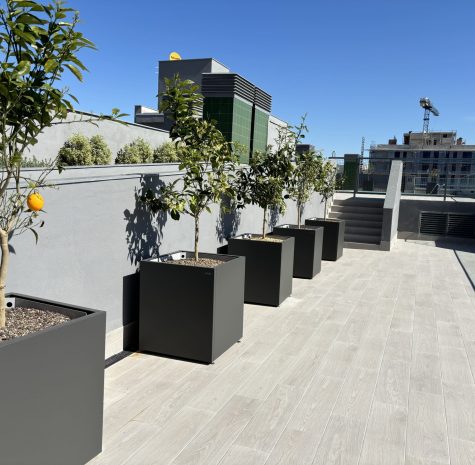 EXTERIOR BADALONA (6)