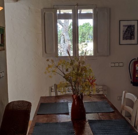 SALON COMEDOR CASA COLONNA (6)